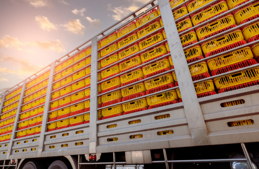 Delta Food Service Inc.